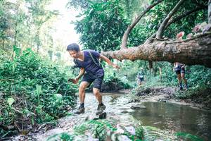 BIB: 
                            <button type="button" onclick="openModal(25432606)" class="btn btn-primary btn-sm float-right btn-popup" data-toggle="modal" data-target=".modal-high-quality">
                        <i class="fas fa-shopping-cart"></i> Add to Cart
                    </button>
                                            <button type="button" onclick="isThisMe(25432606, true)" class="btn btn-success btn-sm float-right btn-popup btn-isme hidden" data-toggle="tooltip" data-placement="bottom" title="นี่คือรูปของคุณใช่ไหม คลิกที่นี่เพื่อเอาเข้าอัลบั้ม">
                        <i class="fas fa-plus"></i> Add to album
                    </button>
                    <button type="button" onclick="isThisMe(25432606, false)" class="btn btn-warning btn-sm float-right btn-popup btn-isnotme hidden">
                        <i class="fas fa-ban"></i> Remove from album
                    </button>